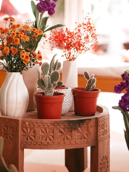 A mix of colorful flowers and cacti as table centerpieces. This eclectic combination was perfect for a bohemian-chic Mehendi theme.