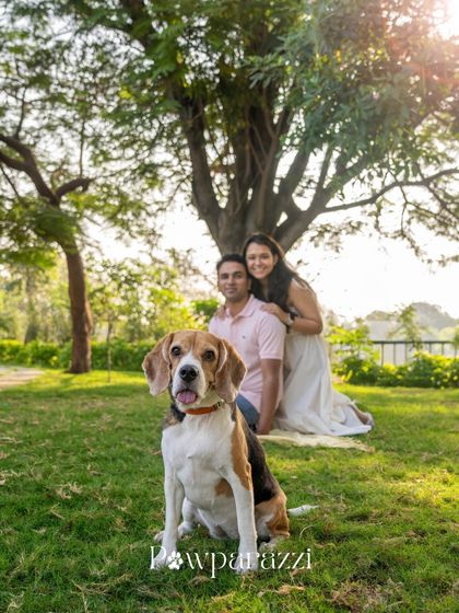 Pawparazzi By Prathima - Pet Milestone Photography Couples, Engagements & Save-the-Dates photo 7