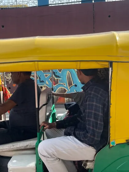 A shot of the Ahmedabad piece from inside a moving auto-rickshaw. This is how most people will see it, a quick flash of color and form.