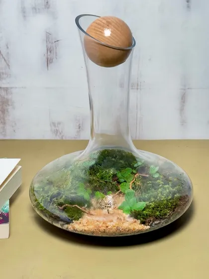 This wine decanter terrarium is a perfect toast to any celebration, especially as a unique Father's Day gift. It's a sophisticated and elegant piece for someone who appreciates things that grow.