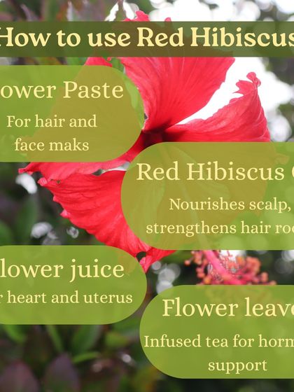 The beautiful Hibiscus flower is more than just decoration. We explore its Ayurvedic profile and how to use its leaves and flowers for home remedies, from hair masks to teas for hormonal support.