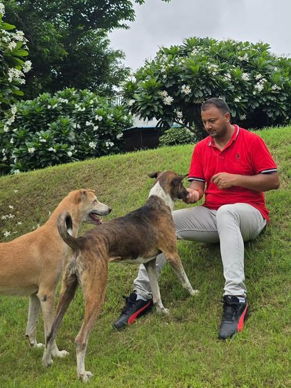Taking a moment to relax on the grass with a couple of our furry guests. It's these quiet moments of connection that make this place a true second home.