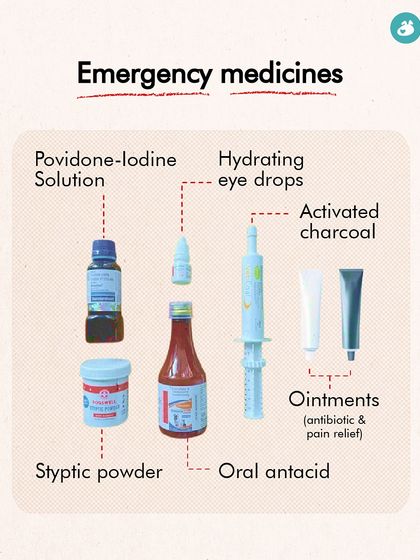 The Pack - Pet Parent Education & Workshops Your Dog's Health & Wellness photo 38