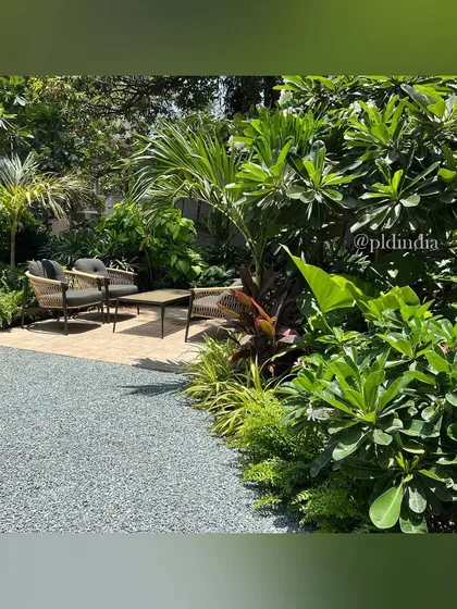 The seating area is tucked away behind a screen of frangipani and palm trees, making it feel like a private oasis. The gravel ground cover provides a textural contrast to the surrounding lawn and foliage.