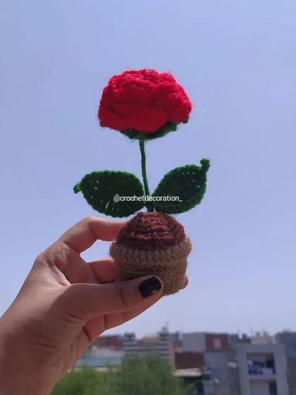 A single mini rose pot held against the sky. Its small size makes it perfect for any little nook.