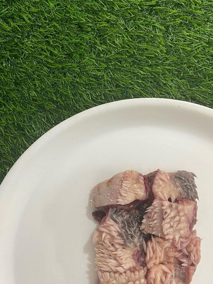 For the more adventurous raw feeder, I offer unique cuts like these buffalo lips. They provide a great chewing texture and are full of connective tissue.