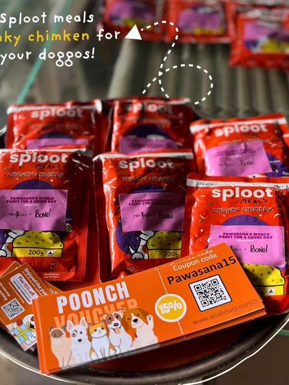 We provided our Chonky Chimken meals and Pooch Vouchers for the 'Paint for a Cause' event. Supporting adoption drives is a core part of our mission.