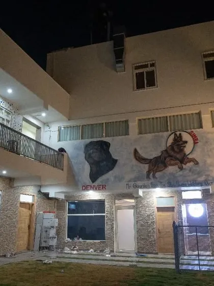 Welcome to our home away from home, beautifully lit up at night. I’ve designed DenjenSim to be a safe, welcoming, and impressive pet resort, ensuring your babies are comfortable and secure day and night.