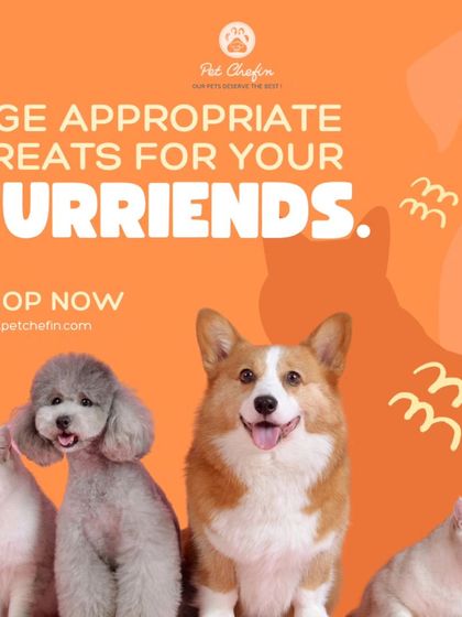 We offer age-appropriate treats for your furry family. From nutrient-packed snacks for puppies and kittens to soft, easy-to-chew options for seniors, we have something for every stage of life.