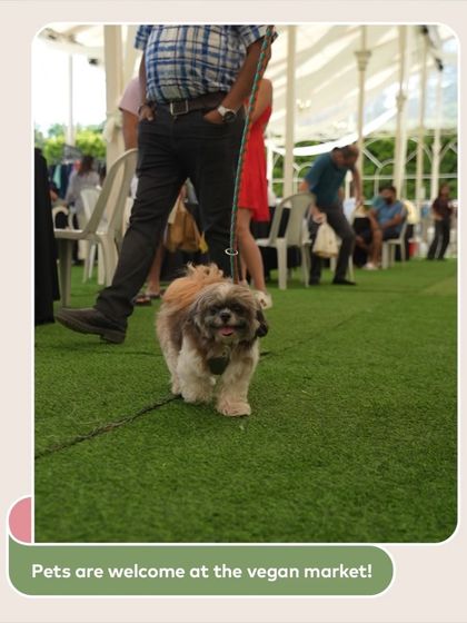 My events are pet-friendly, so the whole family can join in the fun, even the furry members! This cute shih tzu is enjoying a day out at the market.