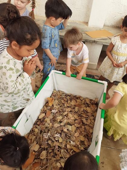 Knowledge Origin - Preschool & Kindergarten Programs Learning Beyond Our Walls: Field Trips & Nature Exploration photo 68