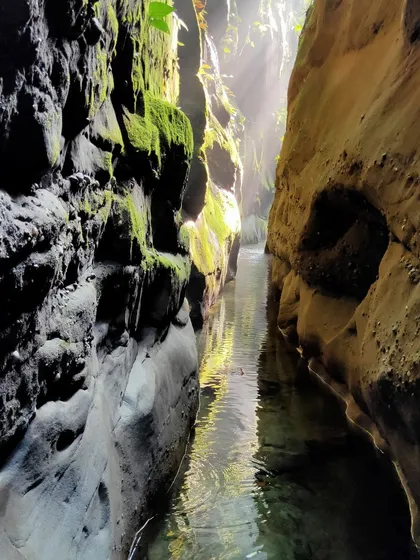 The play of light and shadow on the moss-covered walls of the canyon creates a magical, otherworldly feel.