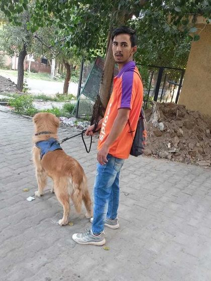 Another one of our happy clients, a Golden Retriever, out with his trusted walker. Seeing this bond is what makes our work so rewarding.