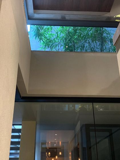 A view up through a lightwell in a Gurgaon home, showing a glimpse of bamboo against the sky. I use these vertical openings to draw light deep into the house and create surprising connections to the outdoors.