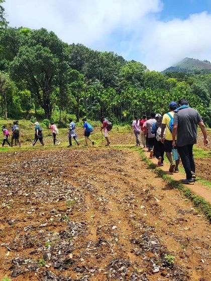 Our group trekking through the fields at the base of Kodachadri, led by our experienced guide.