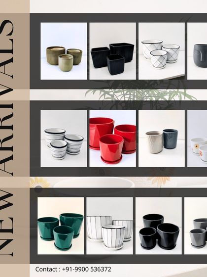 Greening Wonders - Garden Center & Plant Nursery Decorative & Premium Pots photo 10