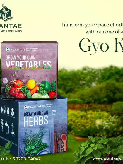 Experience the joy of harvesting your own food with our 'Grow Your Own' kits. We’ve packed everything you need to easily grow fresh vegetables and herbs right in your kitchen or on your balcony, making home gardening accessible to everyone.