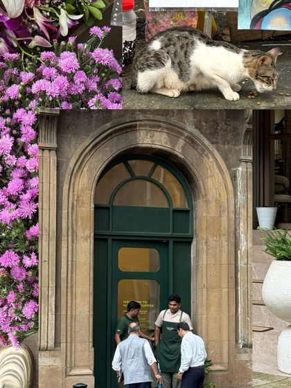 A layered composition of a street cat, a green door, and purple flowers, creating a rich visual texture.