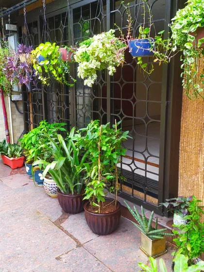 Hanging planters are a fantastic way to add greenery without using floor space. Here, I've installed a row of hanging baskets with trailing plants above a line of floor planters for a layered look.