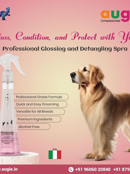 Augie Pets - Pet Grooming Services Finishing Sprays & Perfumes photo 4