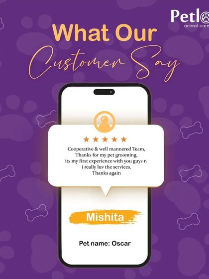 Your reviews make our day. This feedback from Mishita praises our cooperative and well-mannered team, which is what we always strive for.