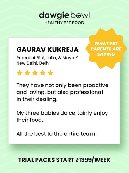 Proactive, loving, and professional service is what I strive for. It's great to hear that all three babies in this New Delhi home are enjoying their food.