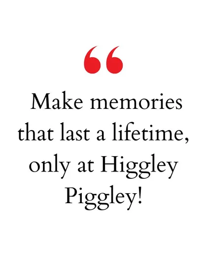 "Make memories that last a lifetime, only at Higgley Piggley!" My ultimate goal is to create cherished memories for your family.