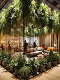 Landscape & Garden Design