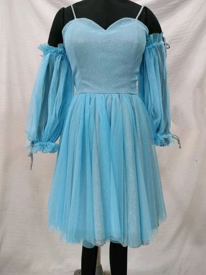 A sweet and sparkly sky-blue frock with puffy sheer sleeves. This is a lovely rental option for a birthday party, a date night, or a casual photoshoot.