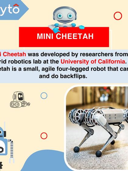 Developed at the University of California, the Mini Cheetah is a small, agile four-legged robot that can run, jump, and even do backflips.