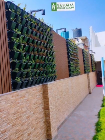 Lawns, Pathways & Vertical Gardens photo 10