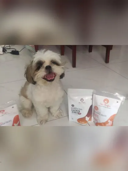 It's treat o'clock! This happy Shih Tzu is all smiles, surrounded by his favorite air-dried chicken jerky.