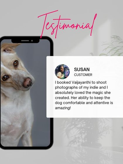 Susan's testimonial about the "magic" I created during her indie's photoshoot and my ability to keep her dog comfortable and attentive.