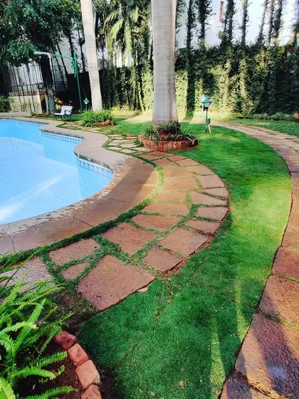 A closer look at the curved stone pathway and the fresh lawn. I make sure the grass grows in thickly, right up to the edges of the path and pool.