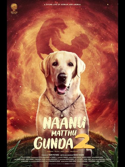 K9 Gurukul - Dog Training for Shows & Media Film & Movie Projects photo 15