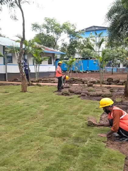 Our team, equipped with safety gear, works on the 4,000 sqft Korean lawn installation.