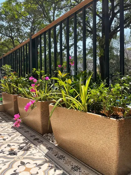 Our rectangular planter boxes in a sandy texture, filled with flowering Bougainvillea. These are great for adding color along a railing.