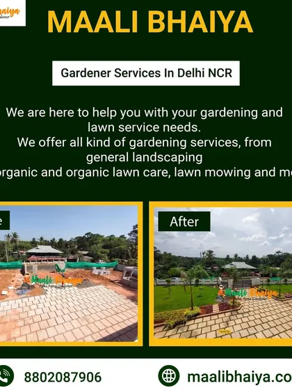 Even a paved terrace can be converted into a green space. This before and after shows how I transformed a large paved area into a garden with a beautiful lawn and surrounding plants, creating a green oasis.