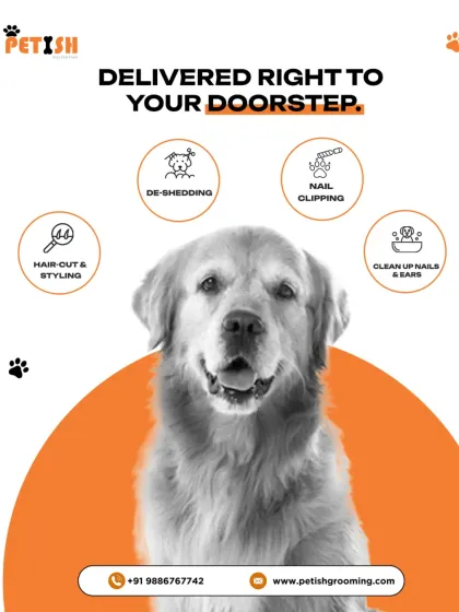 Petish Grooming - Mobile Grooming for Dogs & Cats Our Full Grooming Process photo 17