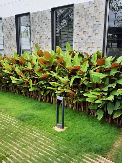 Residential Gardens & Courtyards photo 9