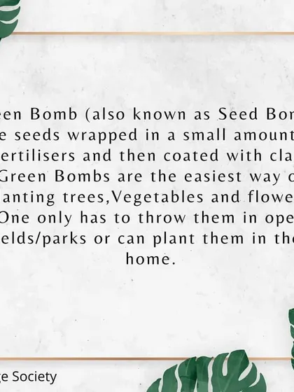 This graphic explains what a Green Bomb is. Also known as a seed bomb, it's a ball of seeds, fertilizer, and clay that makes planting incredibly easy, whether in your garden or in open public spaces.