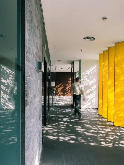 Dappled light streams into a corridor at the KMC Headquarters, animated by the movement of leaves on the exterior green wall. This effect turns a simple circulation space into a rich sensory experience.