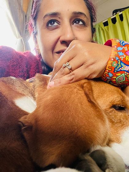 Here's a quiet moment with my beagle, Bingo, and one of my favorite creations, the 'Bingo and Bangle'. The bright colors and playful design always make me smile.