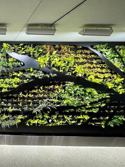 For this project, we incorporated custom black metal accents that sweep across the living wall. This artistic approach adds a unique structural element and modern aesthetic to the vertical garden installation.