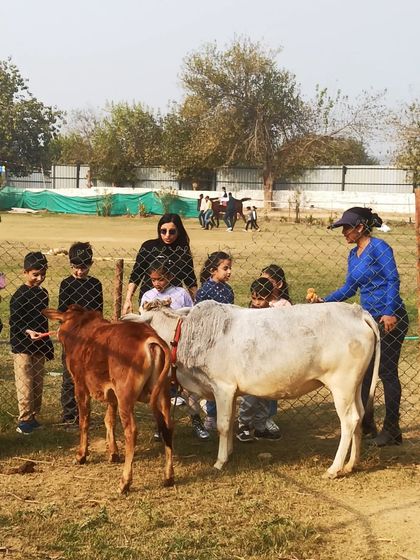 Unforgettable Kids' Parties photo 22