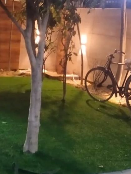 Maintenance-Free Artificial Grass photo 7