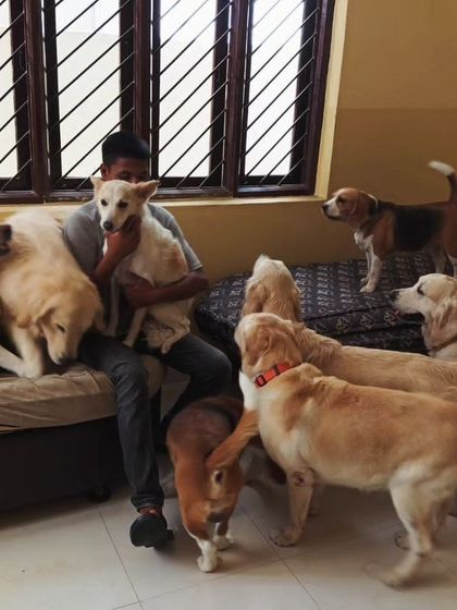 So many dogs, so much love to give. We make sure no one feels left out.