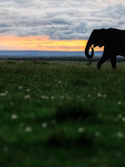 Giants & Other Jewels photo 5