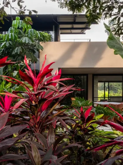 The vibrant red of cordyline plants against the muted tones of a home in Alibaug. The landscape is as much a part of the design as the building itself.