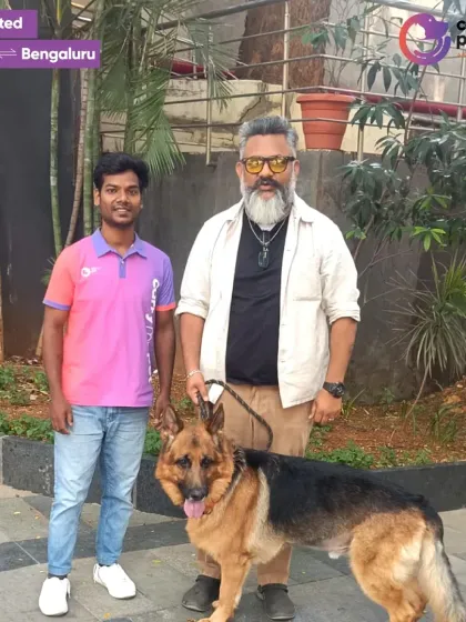 Oscar has arrived. A team member ensures a smooth handover at the destination in Bengaluru after the train journey from Delhi.